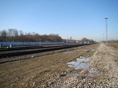 DSC00833.JPG