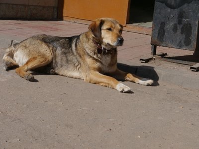 P1060302.JPG
