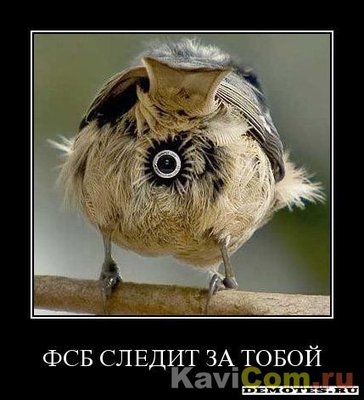 1033838c830ff83f2561495c9ed91ce6.jpg