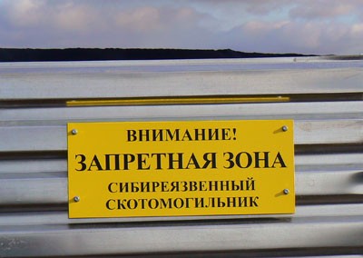 3540182.jpg
