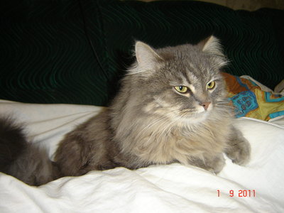 DSC03452.JPG