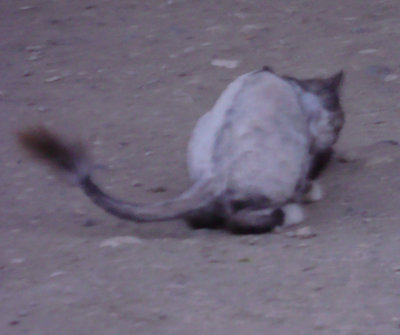 DSC09198-2.jpg