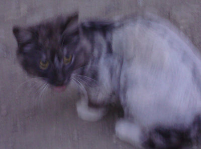 DSC09200-2.jpg