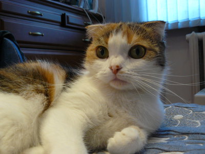 P1020326.JPG