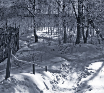 DSC_0369глр.JPG
