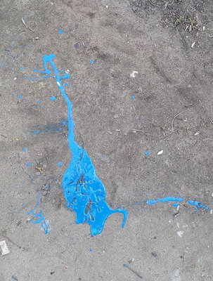20150512_190331.jpg