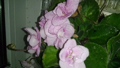 DSC_2049.JPG