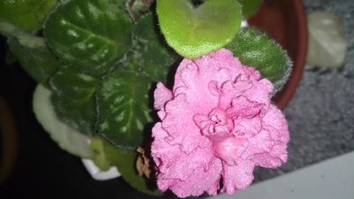 DSC_2048.JPG