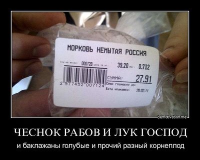 морковь.jpg