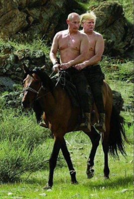 vibori_v_usa_03.jpg