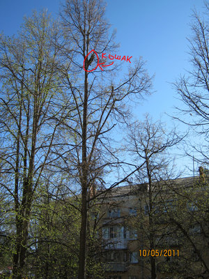 IMG_0057а.jpg