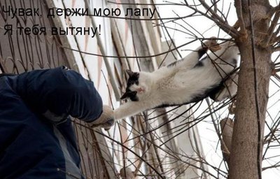 21ac2ae871fc3bda15912c9425e91aa8_full.jpg
