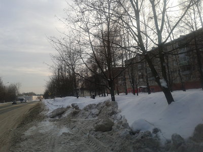 2017-01-29 11-52-46.JPG