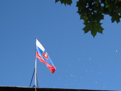 25.05.11 016.jpg