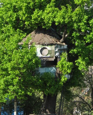 27.05.11 006.jpg