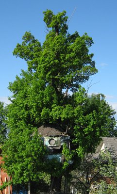 27.05.11 003.jpg
