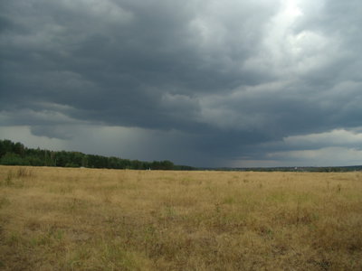 DSC07831.JPG