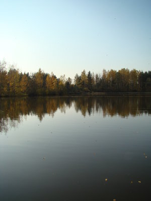 DSC00879.JPG