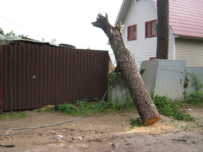 20.06.11 006.jpg