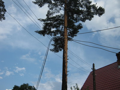 20.06.11 008.jpg