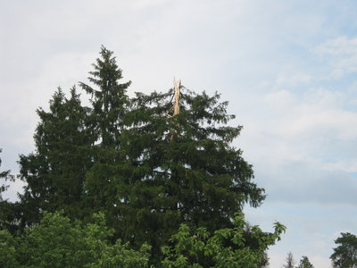 20.06.11 013.jpg