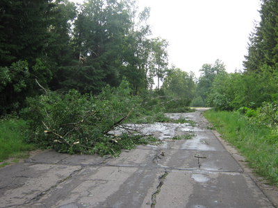20.06.11 021.jpg