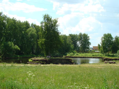 DSC02976.JPG