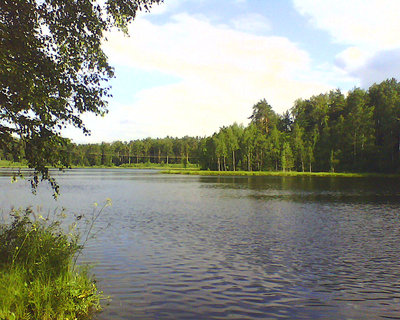 picture_00064.jpg