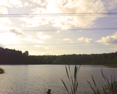 picture_00070.jpg