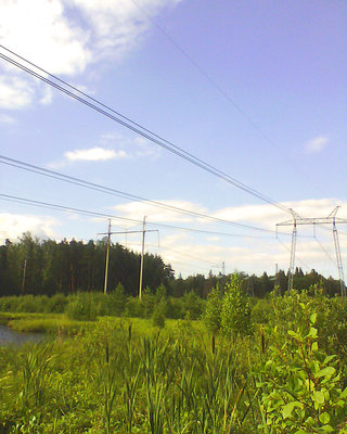 picture_00066.jpg