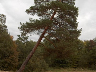 118.jpg