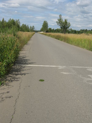 26.08.11 040.jpg