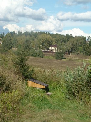 897.JPG