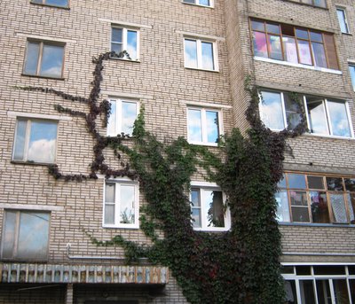17.09.11 022.jpg