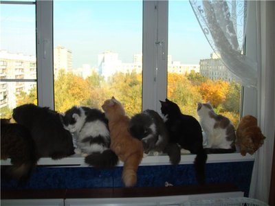 тане.jpg