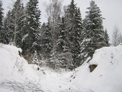 17.01.12 006.jpg
