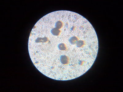 07052012348.jpg