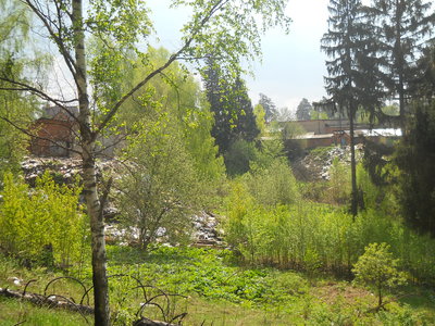 DSCN6425.JPG