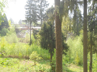 DSCN6426.JPG