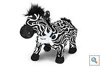 zebra.jpg