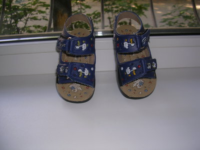 DSCN9537.JPG