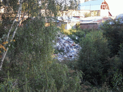 SDC14158.gif