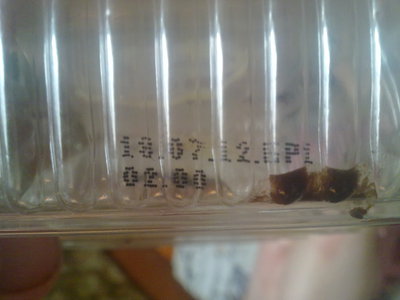 05082012512.jpg