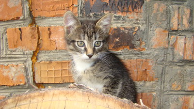 DSC03198.JPG
