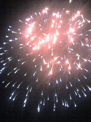 08-09-12_2203.jpg