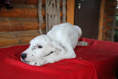 IMG_0537.JPG