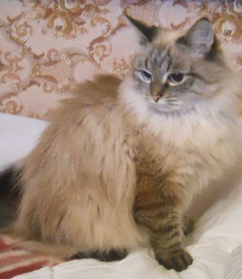 DSCN6863.jpg
