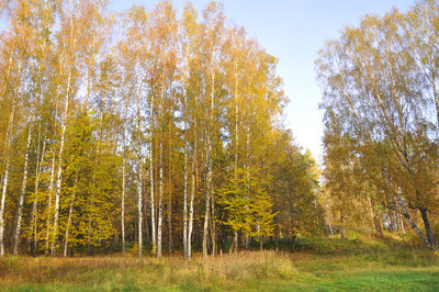 DSC_0022.JPG