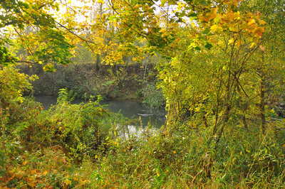 DSC_0021.JPG