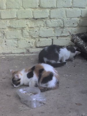 28-09-12_1149.jpg